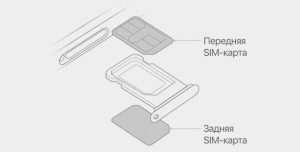 iphone-dual-sim-illustration-line-drawing-2-760x386