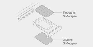 iphone-dual-sim-illustration-line-drawing-2-760x386